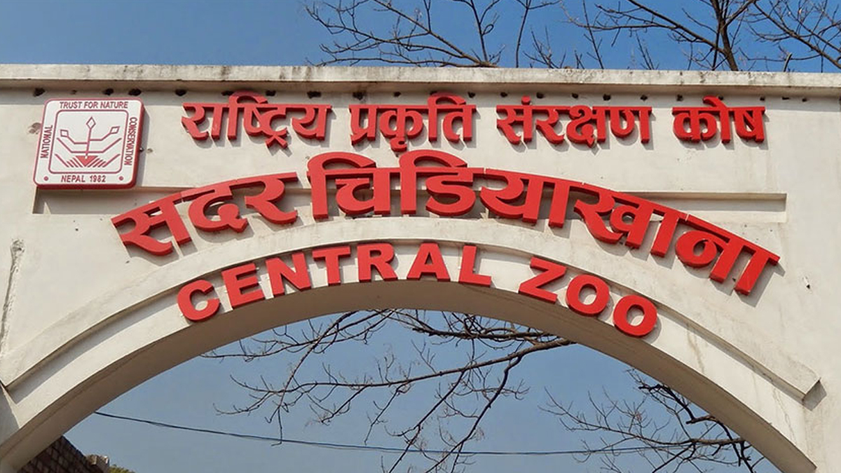 सदर चिडियाखानाको आम्दानी बढ्यो